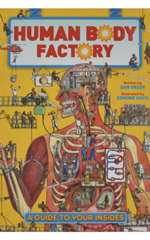 HUMAN BODY FACTORY