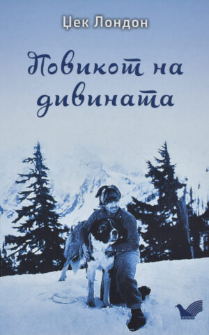 Повикот на дивината front cover image