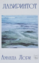 Лавиринтот front cover image